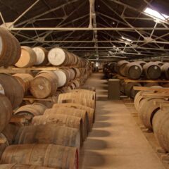 Rows of wooden barrels aging in a historic distillery warehouse, creating a rustic atmosphere.
