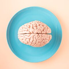 A human brain model placed on a blue plate, viewed from above against a pastel background.