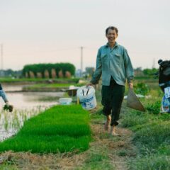Two farmers work in a vibrant rice field with a motorbike nearby, capturing rural life and agriculture.