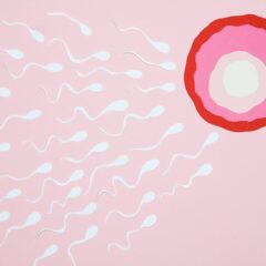 Artistic representation of sperm cells swimming towards an egg on a pink background, illustrating fertilization.
