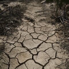 Detailed close-up of cracked, dried earth depicting drought and climate change effects.