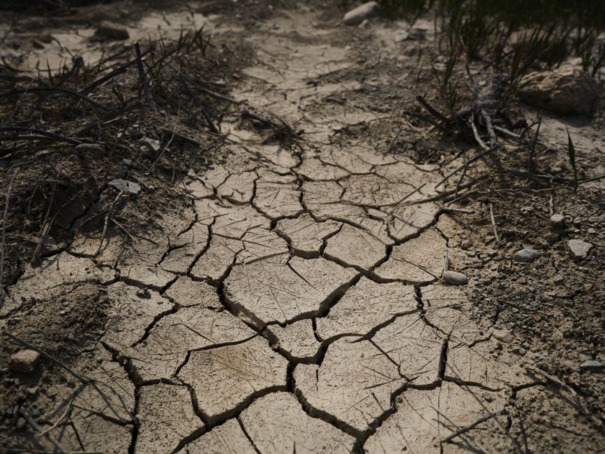 Detailed close-up of cracked, dried earth depicting drought and climate change effects.