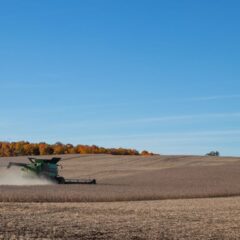 Combine harvester working in an autumn soybean field under a clear blue sky.