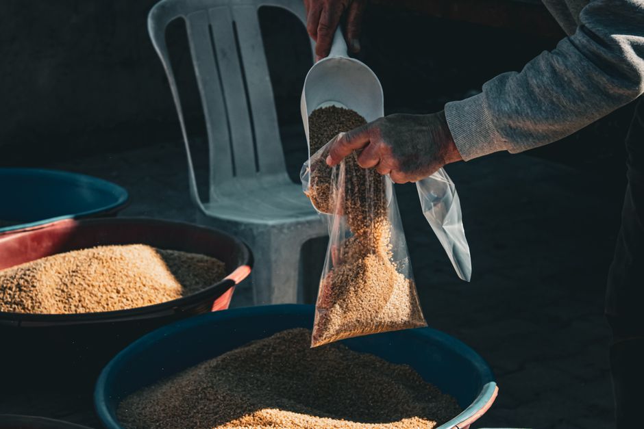 Close-up of a farmer filling a plastic bag with grain. The process takes place outdoors, emphasizing agricultural trade.