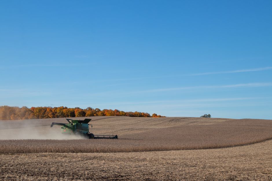 Combine harvester working in an autumn soybean field under a clear blue sky.