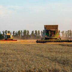 Combine harvesters working in a golden wheat field during autumn.